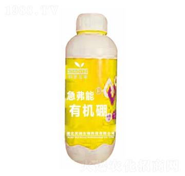 �ЙC(j��)��-������-����(chu��ng)����