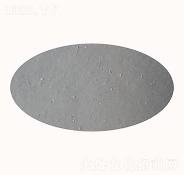 ��ɳ�����-����ʘI(y��)