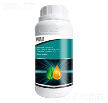 80��������-���_(d��)