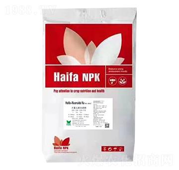 大量元素水溶肥20-20-20+TE-諾銳達(dá)-海法化工