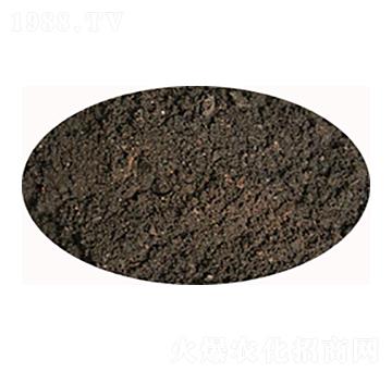 �l(f��)���u�S�ʏS��-���S����