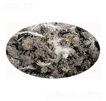 石家莊烘干雞糞-必豐生物