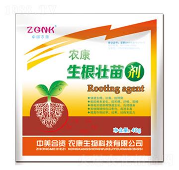 �������焩-�r(n��ng)���r(n��ng)�I(y��)