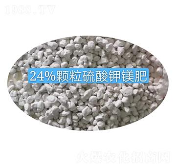 24%顆粒硫酸鉀鎂肥料顆粒-農之友