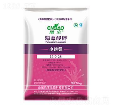 �������-С�ڏ�-����