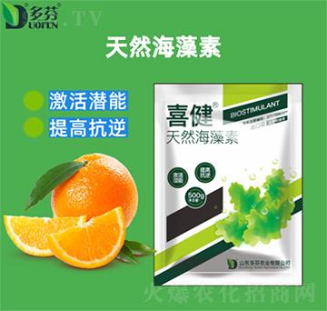 ���徫-ϲ��-����r�I(y��)