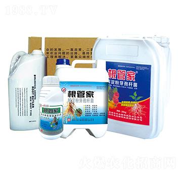 �����ѿ�ߗU��-���ܼ�-�S������