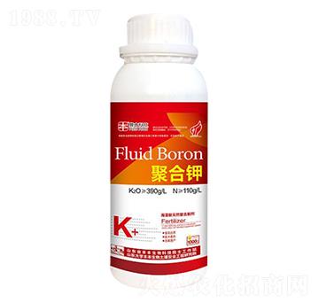 �ۺ��-�S������