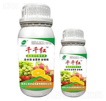 ��(j��ng)�������-ǧǧ�t-�����r(n��ng)�I(y��)