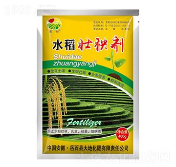 水稻壯秧劑-振標(biāo)-大地化肥