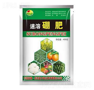 速溶硼肥-振標(biāo)-大地化肥