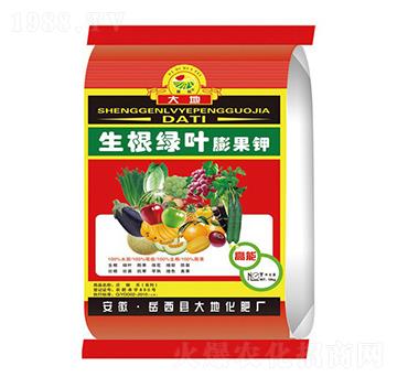 生根綠葉硼果鉀-大地化肥