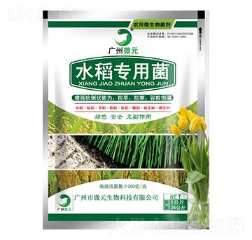 水稻專用菌-微元生物