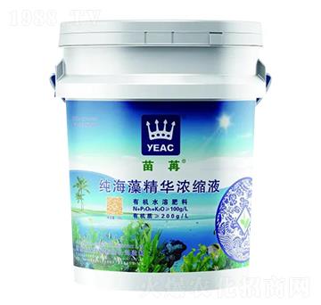 �����徫�A��sҺ-����