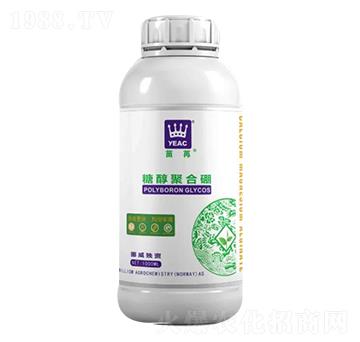 �Ǵ��ۺ���-����