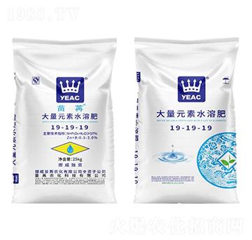 ����Ԫ��ˮ�ܷ�19-19-19-����