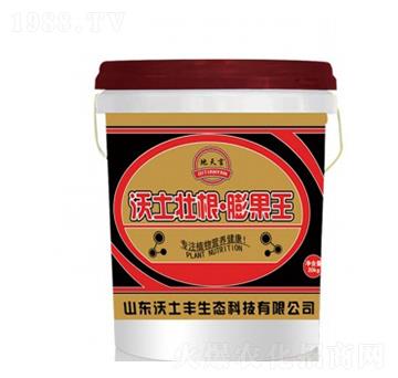 �����Ѹ��������-�����S