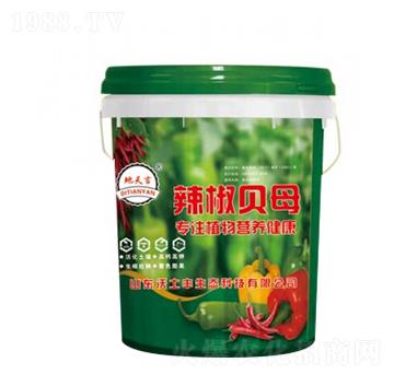 ����ؐĸ-�����S