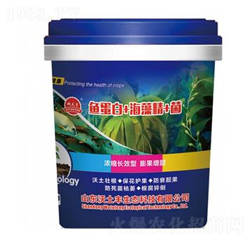 �~����+���徫+��-�����S