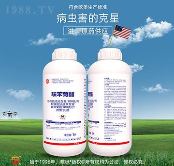 100��ÿ��(li��n)������-��ռ�r�Y