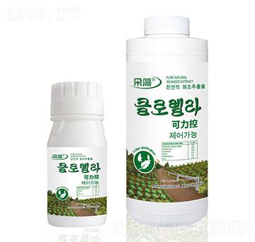 �������~���-����-���Վ�(k��)����