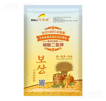 ���W������������0-52-34-������-���Վ�����