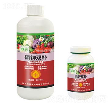 ����p�a(b��)-Ɲ��-�Ʒ����