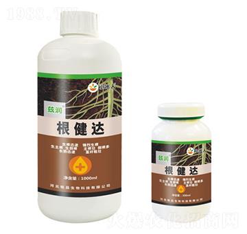 �����_-Ɲ��-�Ʒ����