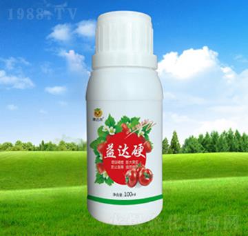 ���_Ӳ-���_���ʘI(y��)