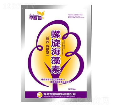 ����������-�紺�@-������