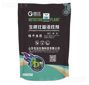 ����������Ԅ�-�n�h(yu��n)����