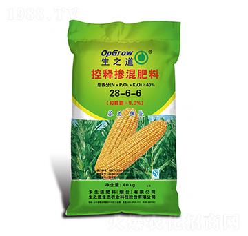 ��ጓ������28-6-6-��֮��