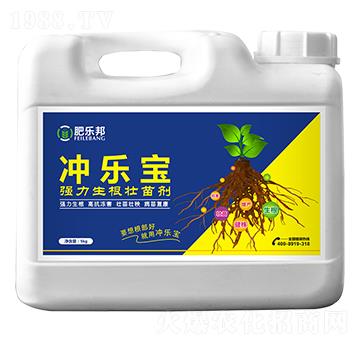 �����������焩-�_����-�׶���