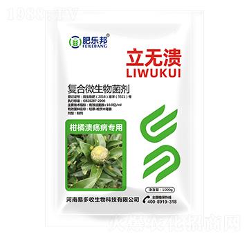 ��(f��)��΢�������-���o��-�׶���