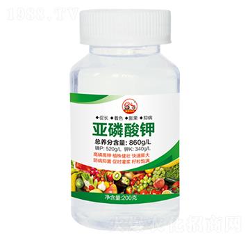 �������-ʢ������