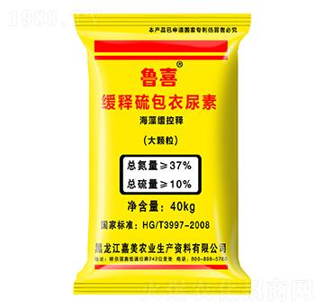 ������������-��ϲ-����