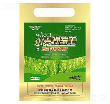 С����q�S-��������