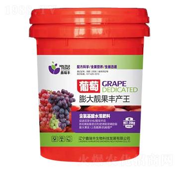 葡萄膨大靚果豐產王-鑫瑞豐
