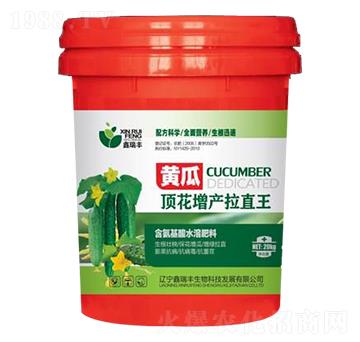 黃瓜頂花增產拉直王-鑫瑞豐