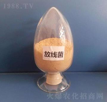 �ž�����Һ�w��-��������