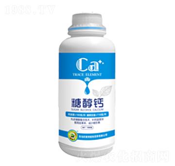 �Ǵ��}-�W����