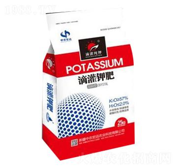 �ι�⛷�-���r���h