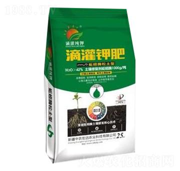 42%���ø⛷�-���r���h