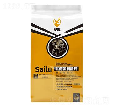 �VԴ�S�����-ِ¹-�޸�����