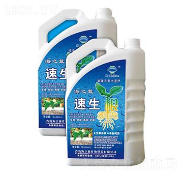 速生根-海之藍