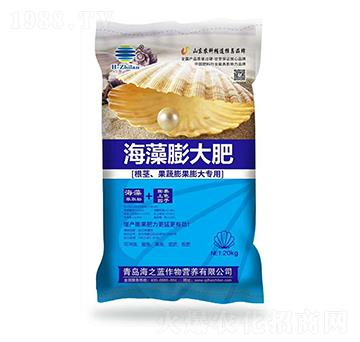 海藻膨大肥-海之藍