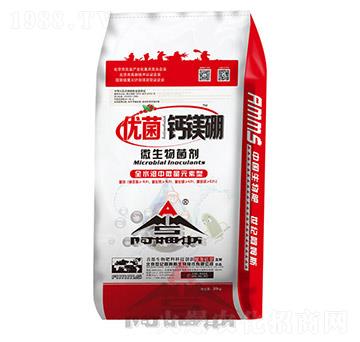 ΢�������-��(y��u)���}�V��-��ķ˹