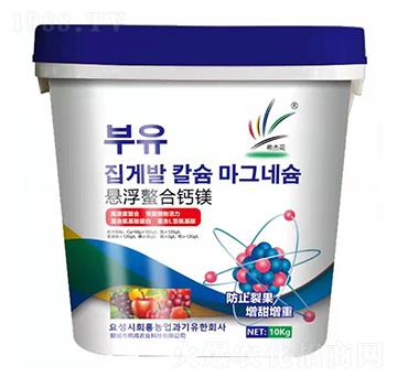 �Ҹ������}�V-�����r�I(y��)