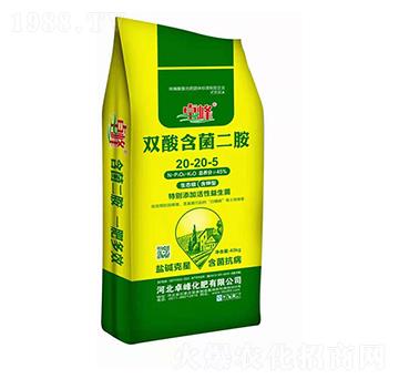 �p�Ậ������20-20-5-׿��