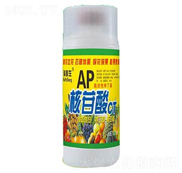 AP������-��������